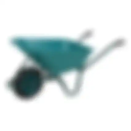Kruiwagen met kunststof bak 100L Top Garden