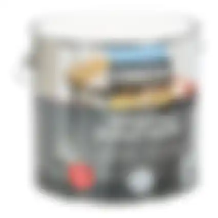 Grondverf sneldrogend wit 2.5L Finess