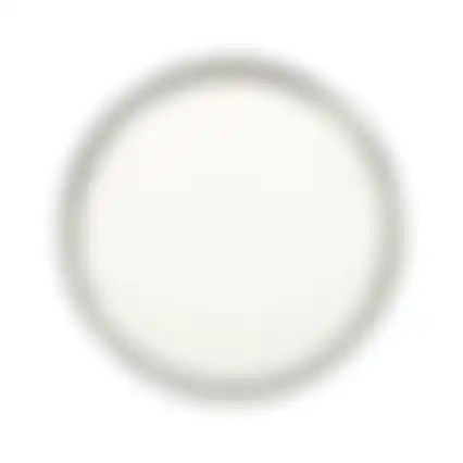 Zijdeglans gebroken wit 14205 750ml Finess