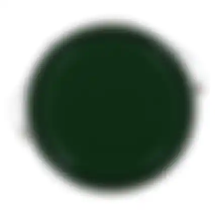 Tuinbeits DK m.groen 2503 2.5L Finess