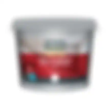 Muurverf wit 1410 10L Finess