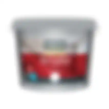 Muurverf wit 1410 5L Finess