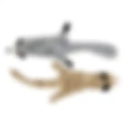 Speelgoed hond wild zoo 60cm asst