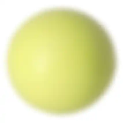 Hondenspeelgoed bal rubber 7.5cm
