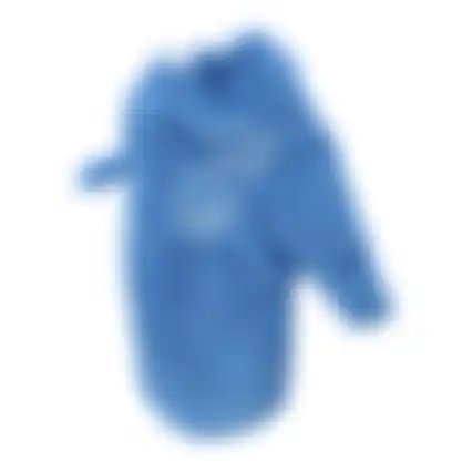 Drooghandschoen hond blauw 28x18cm