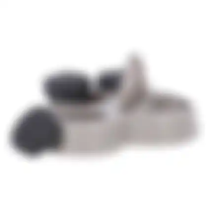 Speelgoed hond brain train 24cm