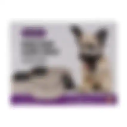 Speelgoed hond brain train 24cm