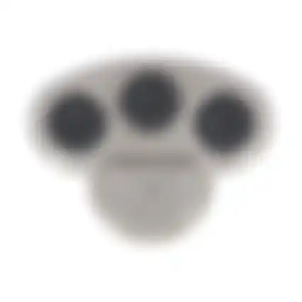 Speelgoed hond brain train 24cm