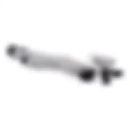 Hondenspeelgoed pluche wasbeer 38cm