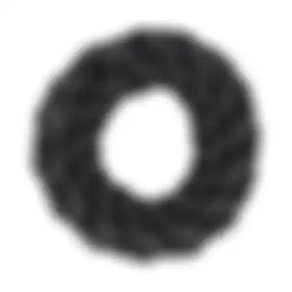 Hondenspeelgoed Ringo touw ring 15mm 20cm FP
