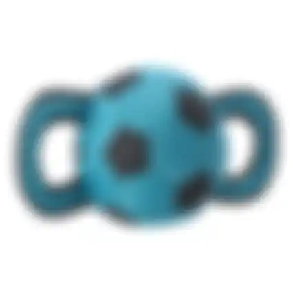Speelgoed hond bal Oxfo blauw FP