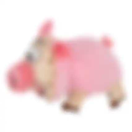 Speelgoed hond Xindo varken roze 21cm FP