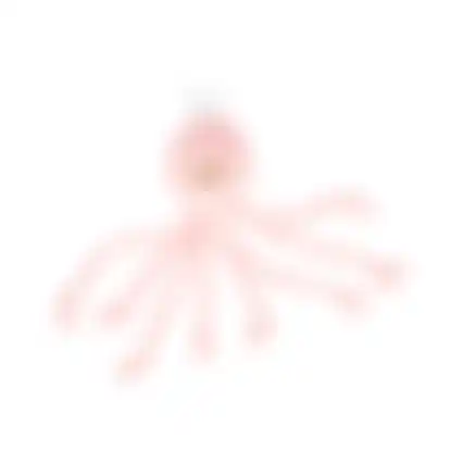 Hondenspeelgoed Paulo octopus roze S 12,5x11,5x47cm FP