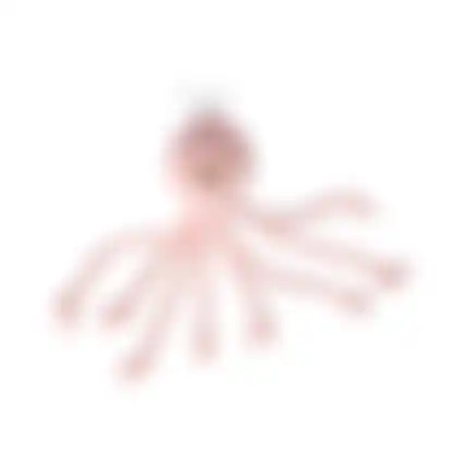 Hondenspeelgoed Paulo octopus roze S 12,5x11,5x47cm FP