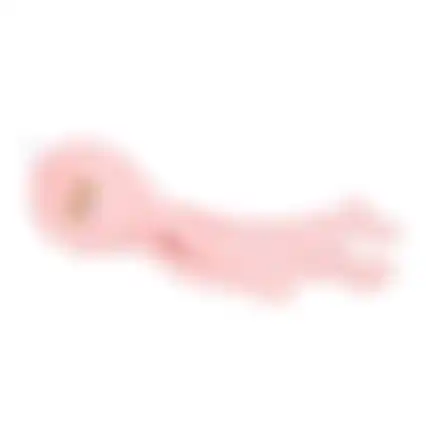 Hondenspeelgoed Paulo octopus roze S 12,5x11,5x47cm FP
