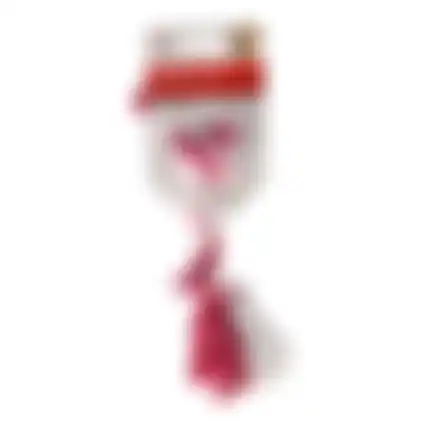 Speelgoed hond touw 20cm