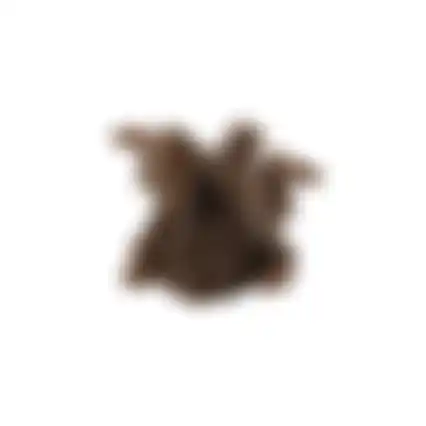 Speelgoed hond konijn bruin S 16x14cm FP