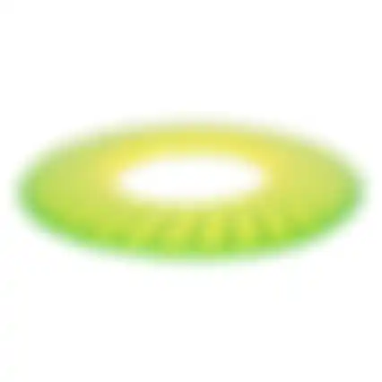 Speelgoed H Frisbee 25cm geel/groen