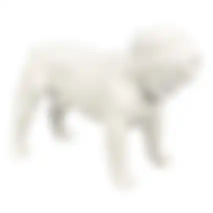 Paspop hond staand S wit