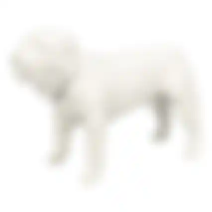 Paspop hond staand S wit