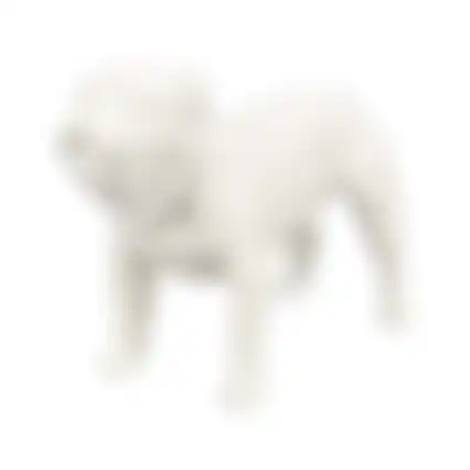 Paspop hond staand S wit