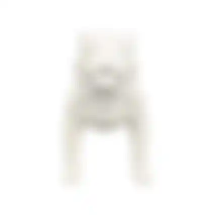 Paspop hond staand S wit