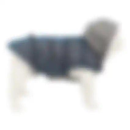 Jas hond Benji