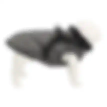 Jas hond Bodhi