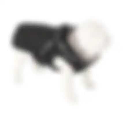 Winterjas hond Duker