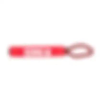 Hondenspeelgoed signature stick+tw Kong