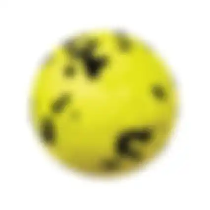 Hondenspeelgoed Reflex bal L Kong