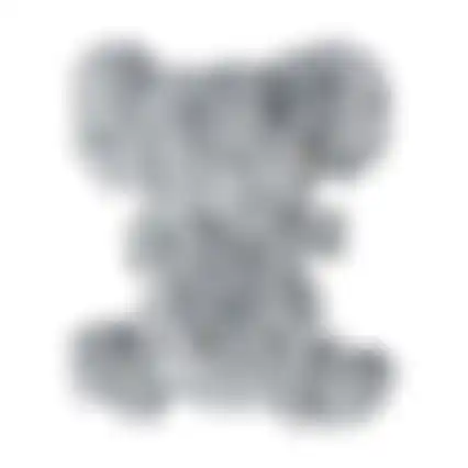 Speelgoed H Scrumplez koala M Kong