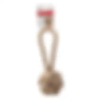 Speelgoed hond touw + knots jute FP