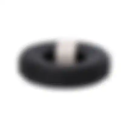 Hondenspeelgoed band rubber 19cm FP