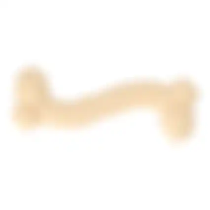 Speelgoed hond nylon bone 14cm FP