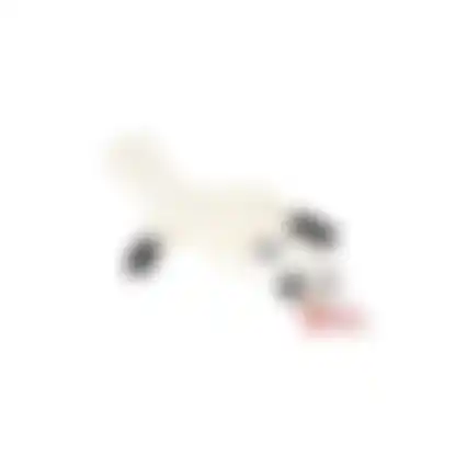 Hondenspeelgoed plush wasbeer 56cm