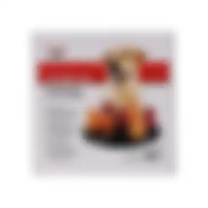 Speelgoed hond activity solitaire