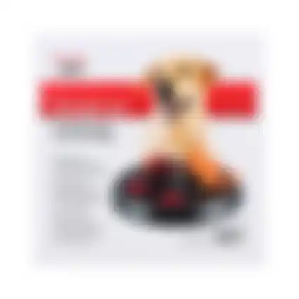 Speelgoed hond activity flip board