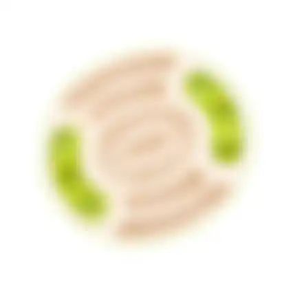 Hondenspeelgoed activity slide+feed
