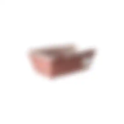Reismand dier pro oud roze
