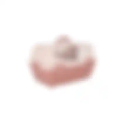 Reismand dier pro oud roze