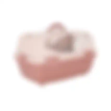 Reismand dier pro oud roze
