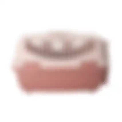 Reismand dier pro oud roze