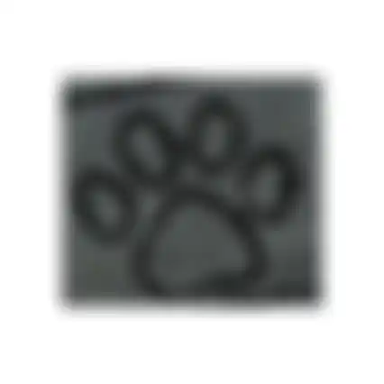 Droogloopmat Hond Grijs