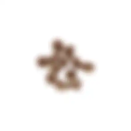 Snack knoopbeen lam+rijst 6st S