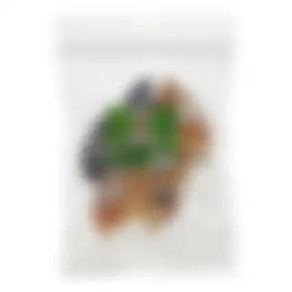 Hondensnack kalfshoef leeg 5st