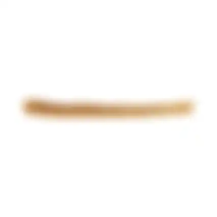 Hondensnack nature varkensrol 50cm 1st