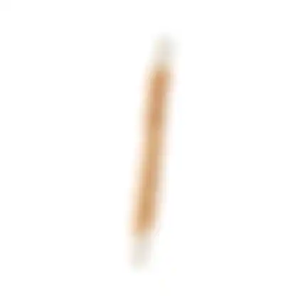 Hondensnack chickn stick 40cm