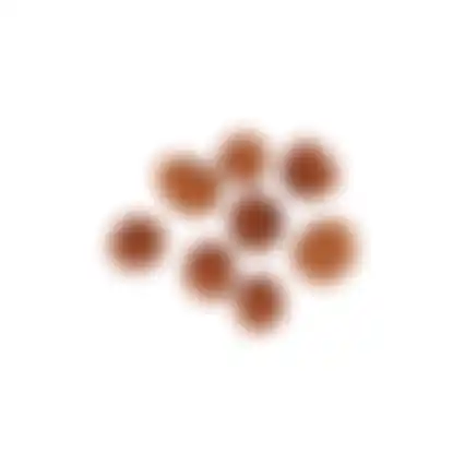 Snack hond chickn+rice balls 80G