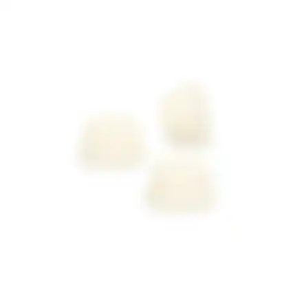 Hondensnack schapenvet BonBons naturel